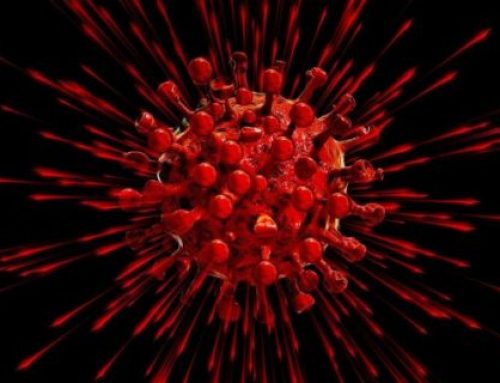 Rapid test shortage is over: officials